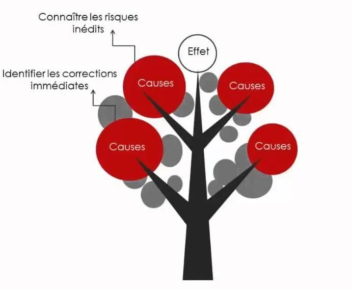 prévention des risques professionnels à Brive - l'arbre des causes